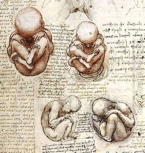 leonardo-da-vinci-fetus – Lines & Marks