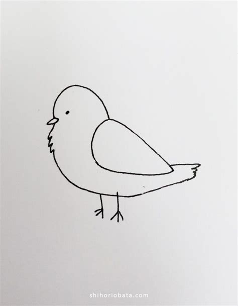 25 Easy & Cute Bird Drawing Ideas