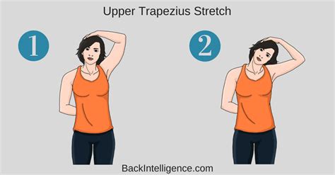 7 Specific Upper Back Stretches For Back Pain Relief