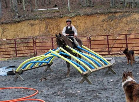 282 best Horse Obstacle Course images on Pinterest | Horse training ...