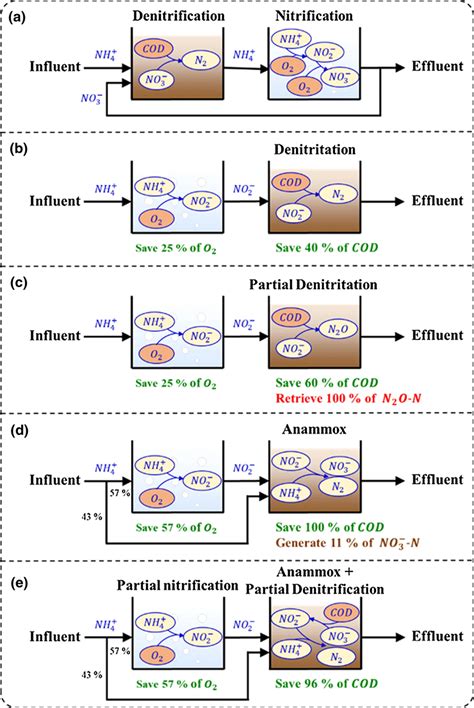 Schematic diagram of the conventional nitrification–denitrification ...