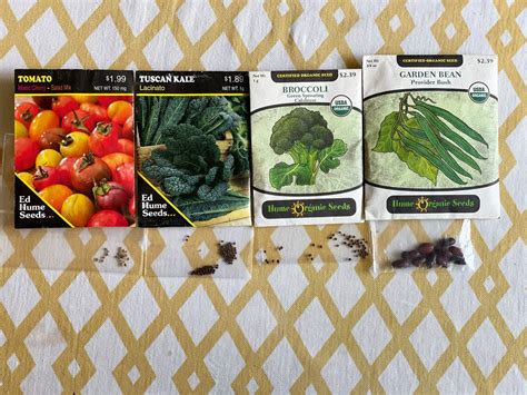 Variety vegetable seeds sample pack | Etsy