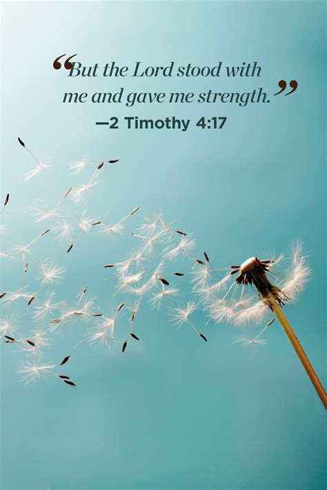 Powerful Life Changing Bible Verses - Quotes