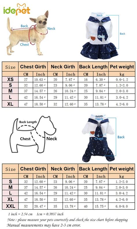 Teacup Chihuahua Size Chart