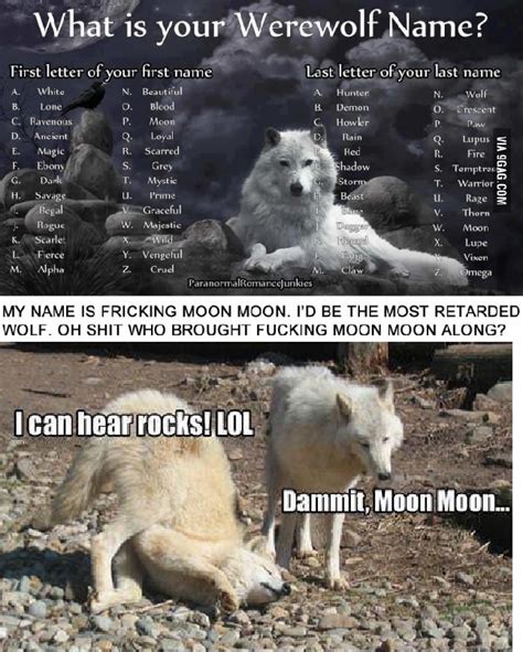 Dammit Moon Moon Meme