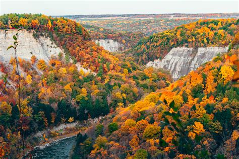 The 10 Best Places to See Fall Foliage in the Finger Lakes - Come Join ...