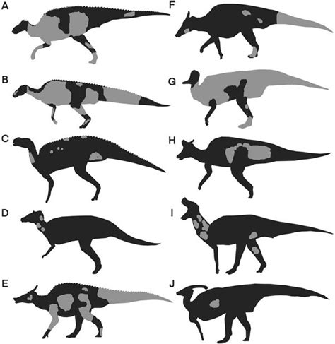 Did Parasaurolophus sport feathers? : r/Dinosaurs