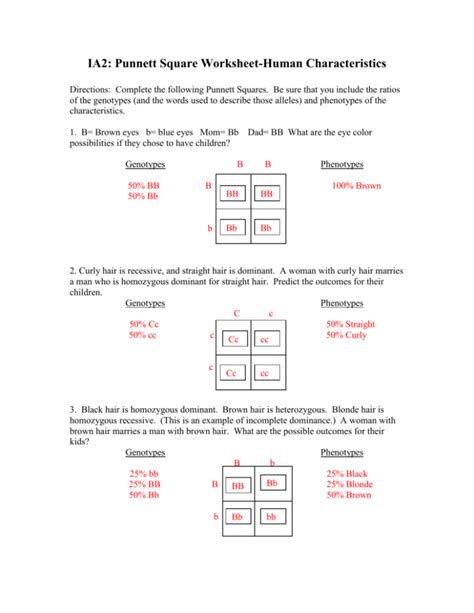 Punnett Squares X Linked Worksheet Answers - Printable Word Searches