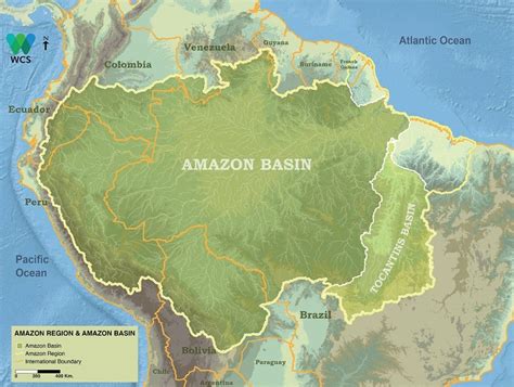 An Analysis of Amazonian Forest Fires | by Matthew Stewart | Towards ...