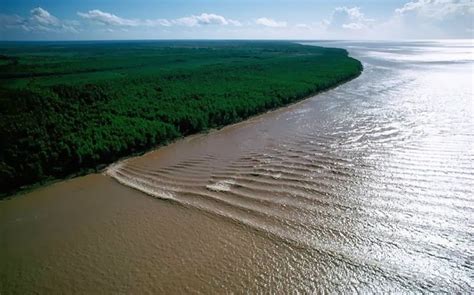 Amazing World Marvels: Tidal Bore: When Rivers Flow Against The Current