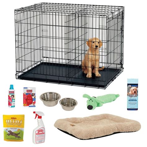 Dog supplies | For my dog | Pinterest