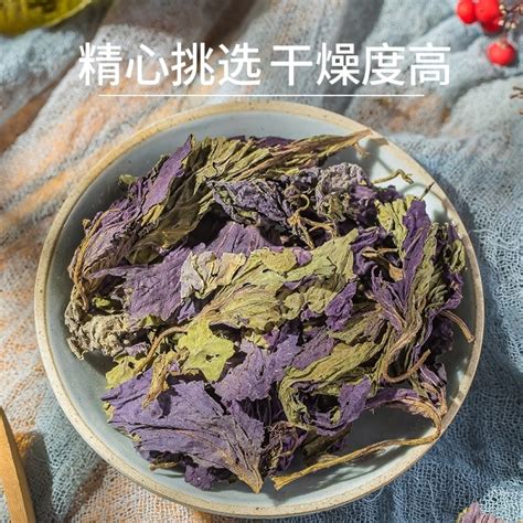 正宗紫苏叶100g干新鲜天然苏子叶泡茶烧鱼虾蟹去腥食用野生中药材Authentic perilla leaves 100g dried ...