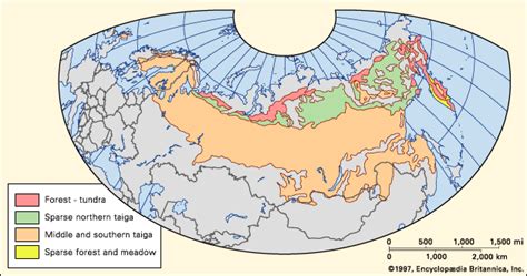 Taiga | Plants, Animals, Climate, Location, & Facts | Britannica