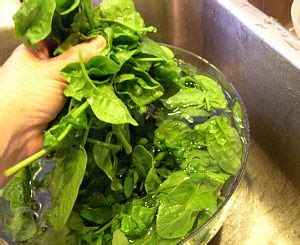 Freezing Spinach Makes for Quick Smoothies and Easy Recipes! | Recipe ...