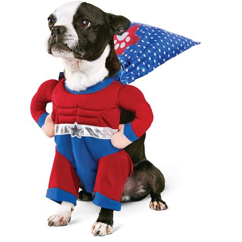 Halloween Costume Ideas For Dogs - Festival Around the World