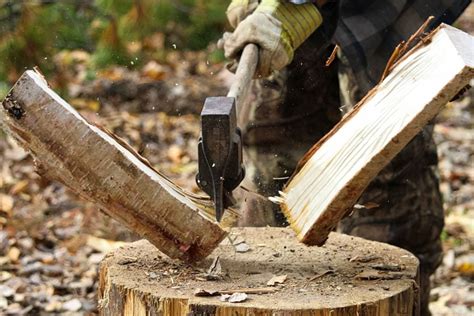 How to Dry Out Wet Firewood (Simple Tips to Speed Up the Process ...