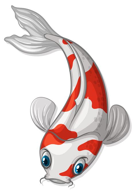 Koi 367538 Vector Art at Vecteezy