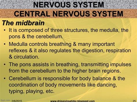 Biological basis of human behavior | PPT