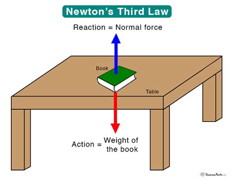 Newton’s Third Law: Statement, Examples, and Equation