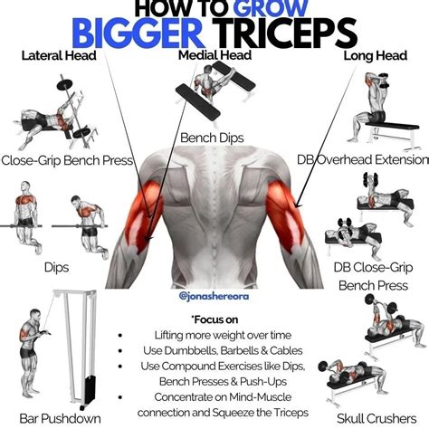 5 Simple Ways to Grow Your Triceps Faster - Muscle & Fitness | Bicep ...