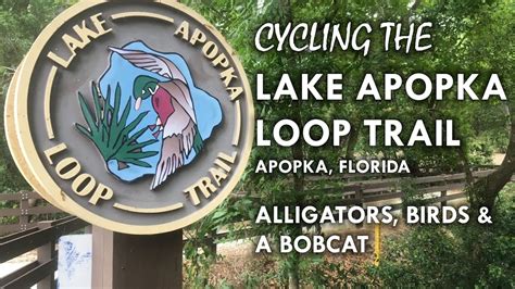 The Lake Apopka Loop Trail by BIKE - YouTube