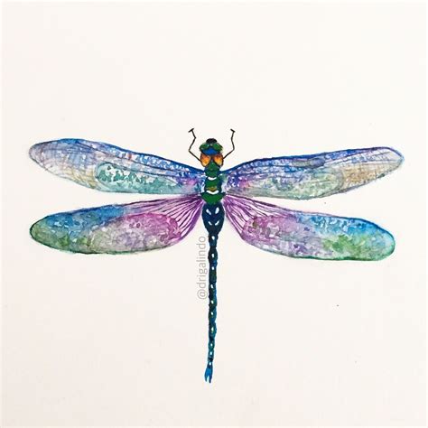 Copyright by Adriana Galindo - Dragonfly, watercolor, illustration ...