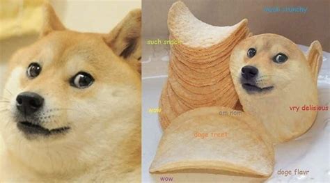 Japanese dog Shiba Inu memes auctioned for 29.29 crore, breaks all ...