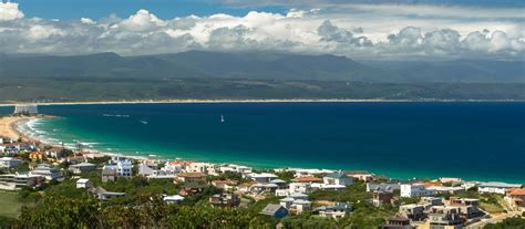 Plettenberg Bay Safari in South Africa | Enchanting Travels