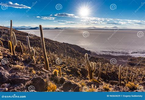 Huge Cactuses Salar De Uyuni Islands Mountains Scenic Landscape Stock ...