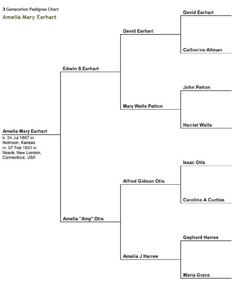 Amelia Earhart Family Tree