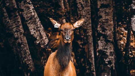 The Complete Guide to Visiting Redwood National Park - The Planet D