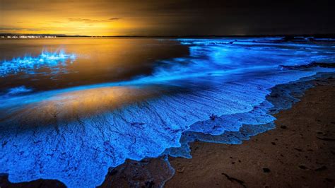 La playa española con uno de los fenómenos bioluminiscentes más ...