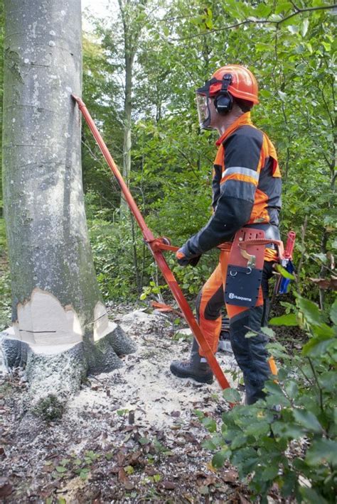 How to use tree felling tools - Husqvarna Chainsaw Academy