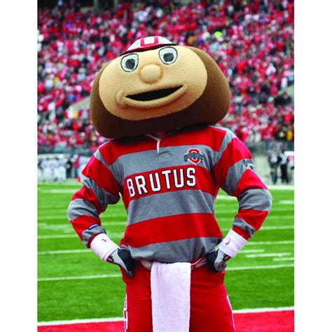 Ohio State University Brutus Buckeye Mascot Costume