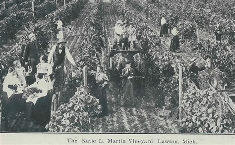 SW Lawton MI 1907 Early Michigan Wine Making History in SW… | Flickr