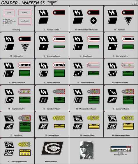 German ranks & collars Military Ranks, Military Insignia, Military ...