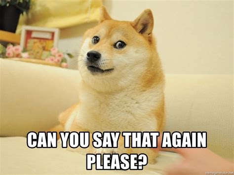 Can you say that again please? - so doge | Meme Generator