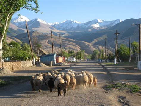 Tamga | Trip to Kyrgyzstan