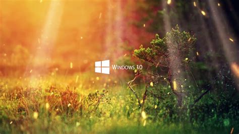 Lively wallpaper windows 10 download - smithfer