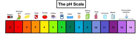 Ph Scale Examples