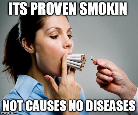 Smoker Meme - Photos Cantik