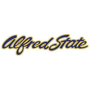 Amazon.com : Alfred State Extra Large Decal 'Official Logo' : Sports ...