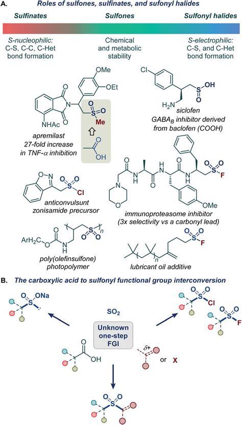 (A) Roles of sulfones, sulfinates, and sulfonyl halides. (B) The ...