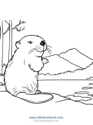 Beaver Coloring Pages