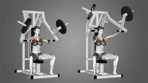 Chest Press vs Bench Press: Are They Different Exercises? - Inspire US