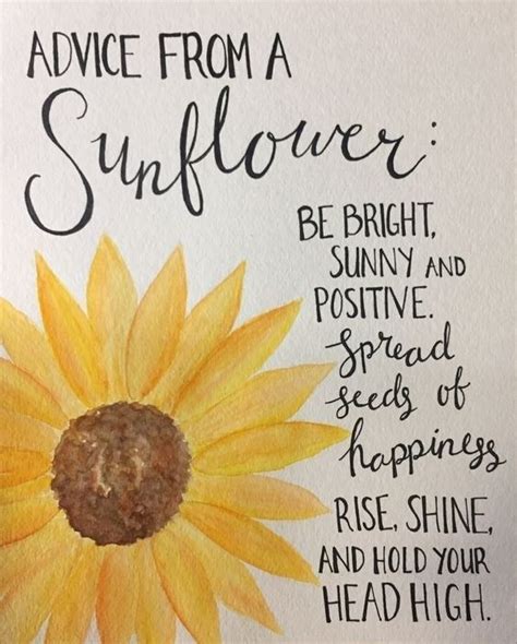 Motivational Quotes : 70 Positive And Motivational Quotes | Flower ...