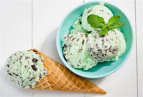 Homemade Mint Chocolate Chip Ice Cream - A Food Lover's Kitchen