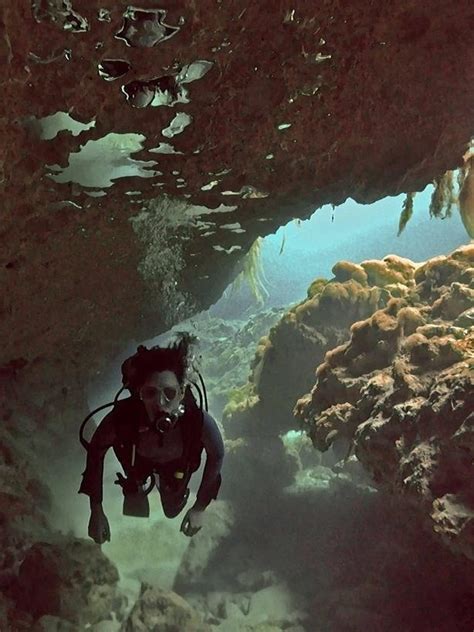 Tourism puts Mexico's underwater wonders at risk - ABC News