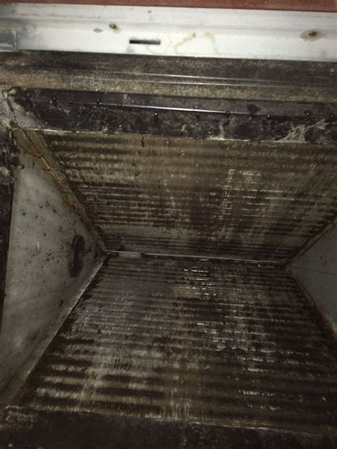 8 Photos Mold In Air Conditioner Symptoms And View - Alqu Blog