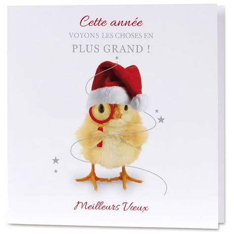 Carte voeux humoristique poussin en Père Noël - mesfairepart.com